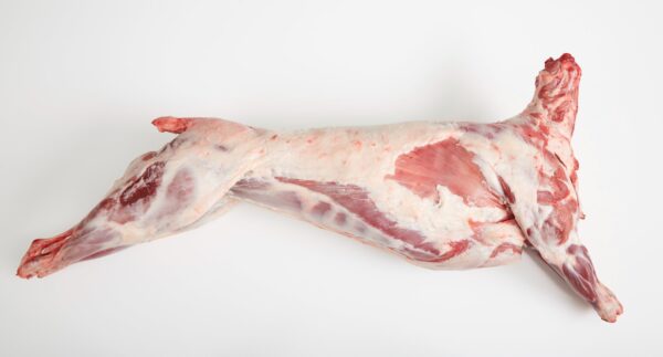 FROZEN BEEF CARCASS